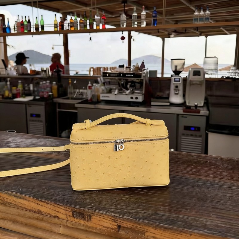 Ostrich Grain Shoulder Mini Ba - đánh giá và giá Luxury Skincare Women